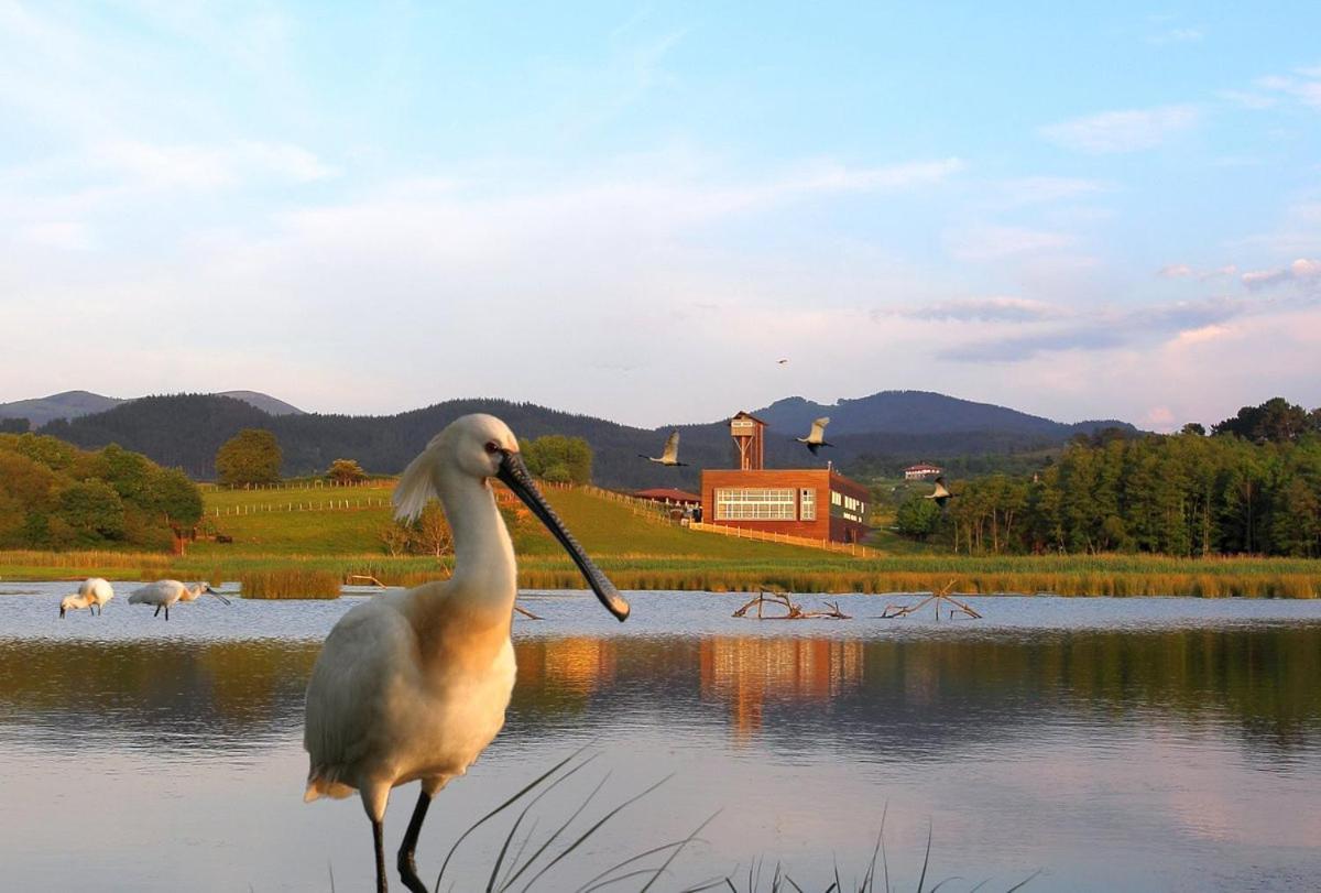 Adosado En La Costa Con Excelentes Vistas Al Estuario De Urdaibai Villa Mundaka Buitenkant foto